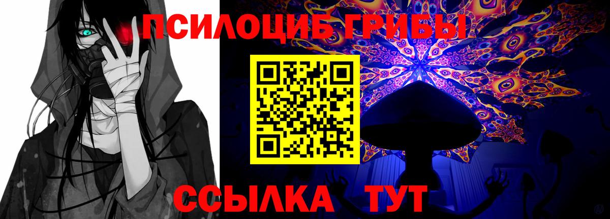 Псилоцибиновые грибы MAGIC MUSHROOMS  Вход с VPN  продажа наркотиков  Псилоцибиновые грибы Psilocybe  Кировск 